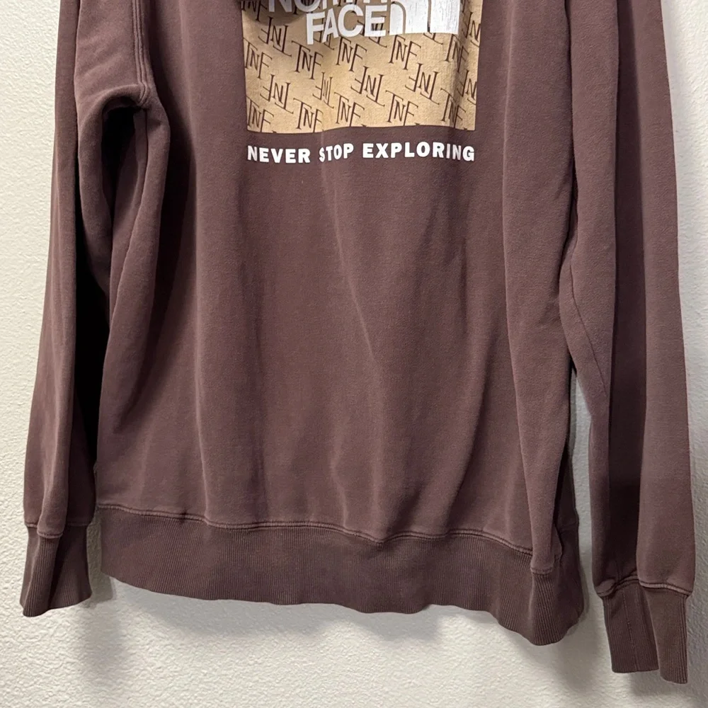The North Face Never Stop Exploring Hoodie